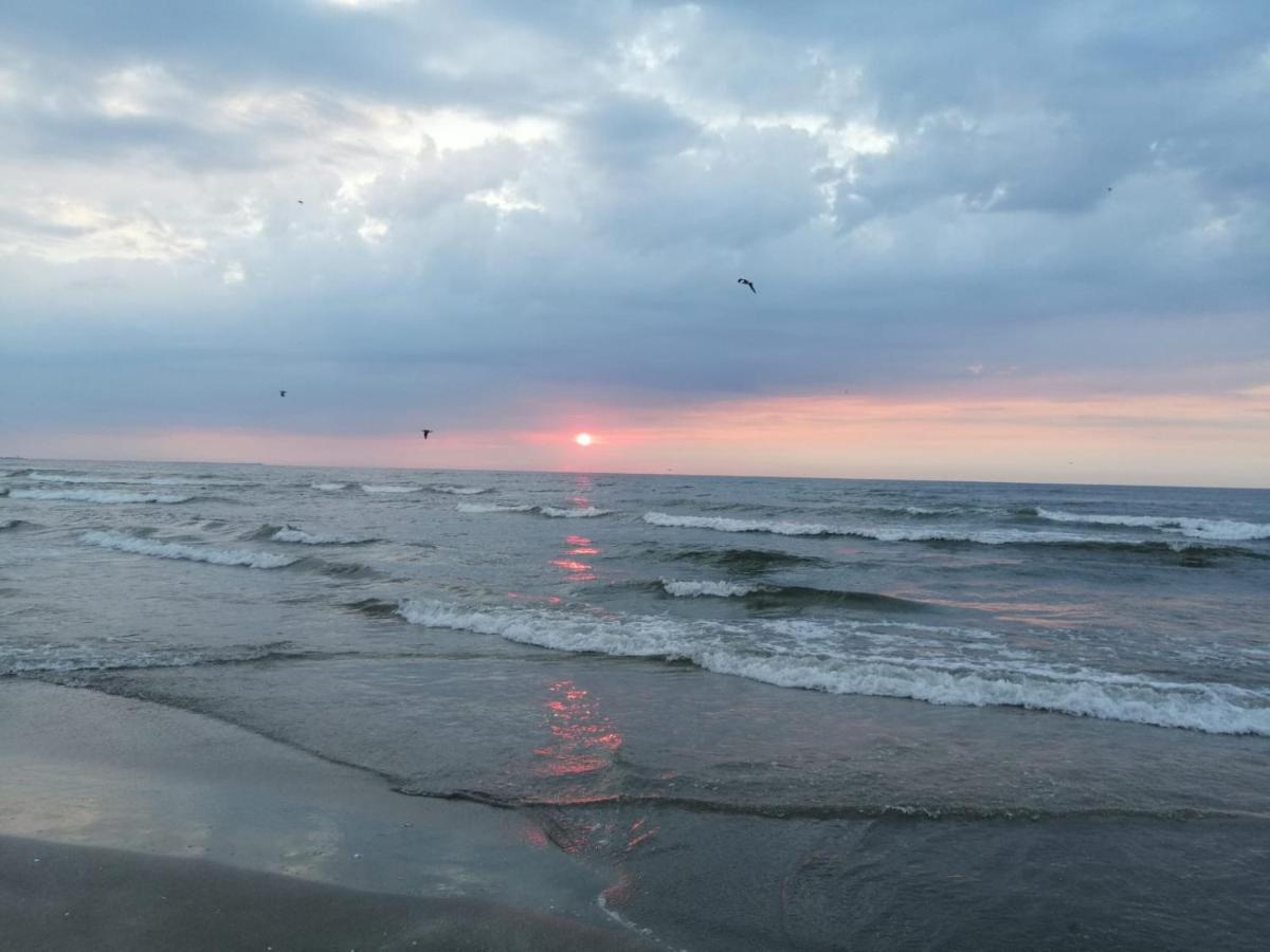 Apartament Summerland Mamaia Eksteriør bilde
